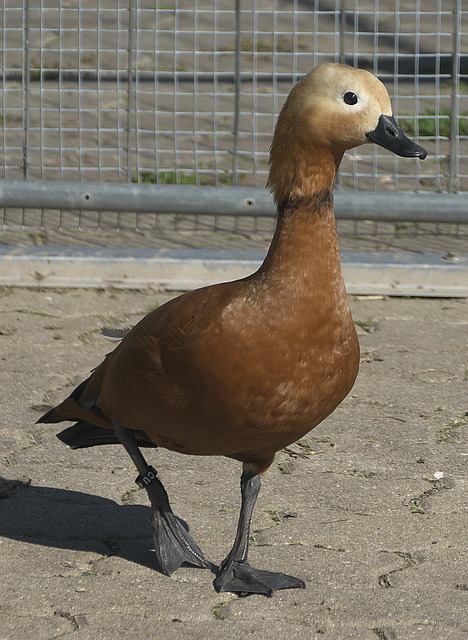 回了状态和